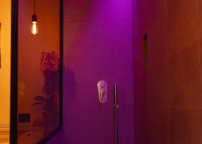 酒店 吉欧托弗拉维亚酒店 罗马