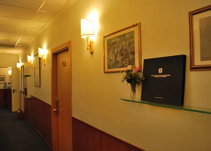 吉欧托弗拉维亚酒店